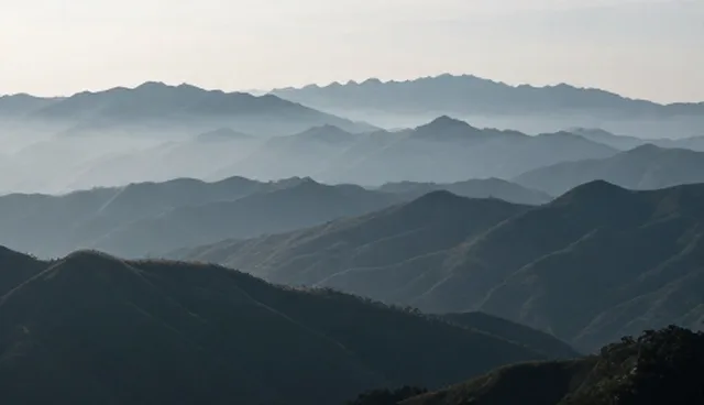 工程维保服务中的性能优化与适用条件分析